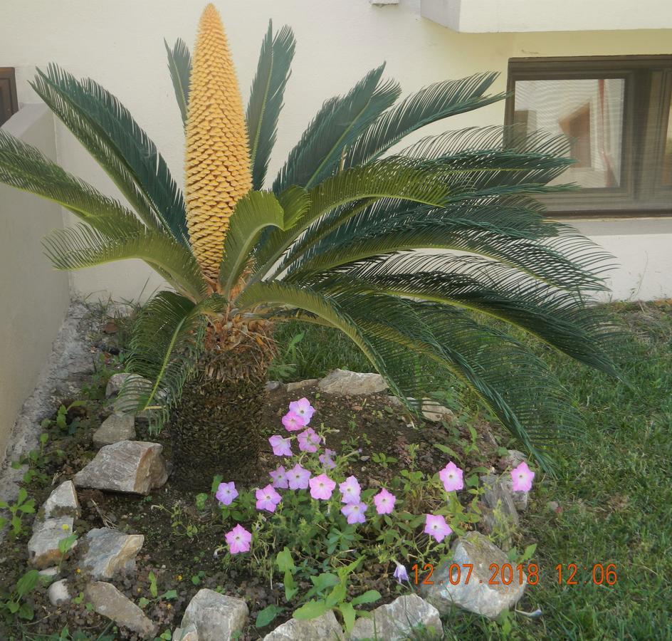Amari Hotel Metamorfosi  Exterior foto